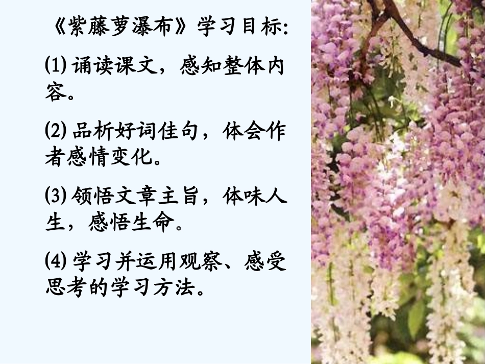 七年级语文上册 第一单元第4课《紫藤萝瀑布》课件 人教新课标版_第2页