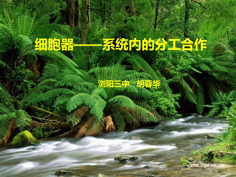 第二单元细胞器_第1页