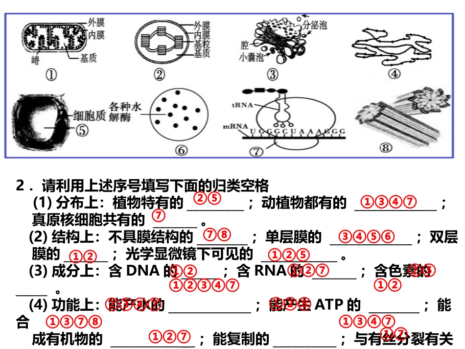 第二单元细胞器_第3页