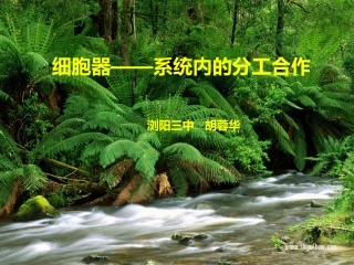 第二单元细胞器