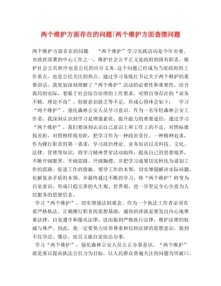 两个维护方面存在的问题-两个维护方面查摆问题 
