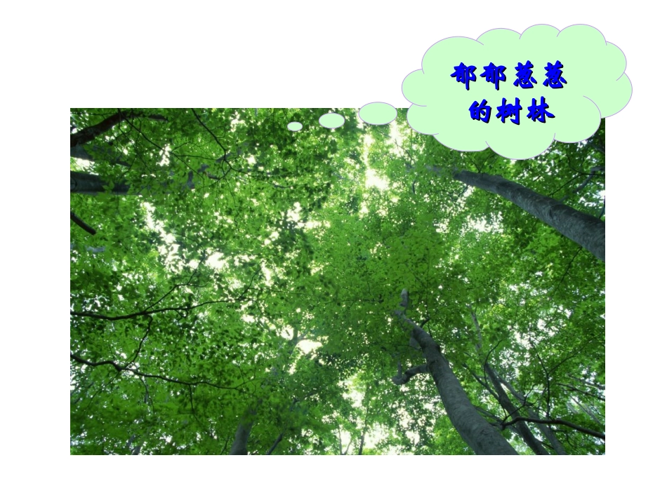 三年级上册语文——23美丽的小兴安岭_第2页