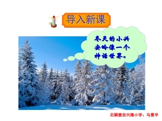 三年级上册语文——23美丽的小兴安岭