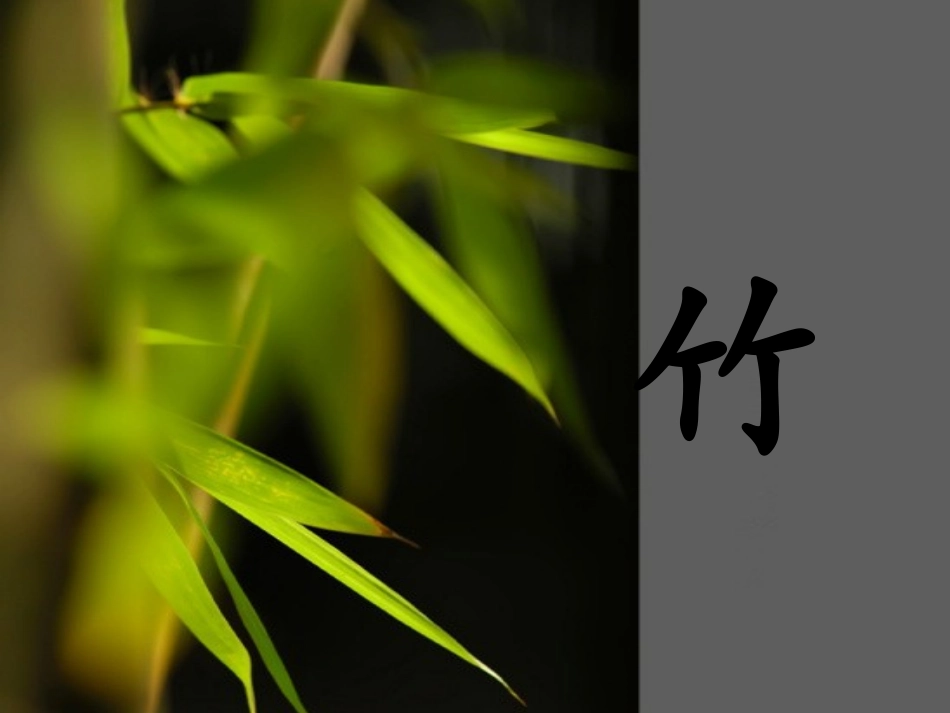 第10课竹（第一课时）_第3页