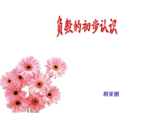 负数的认识 (5)