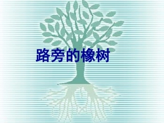 三年级下语文课件-路旁的橡树人教新课标