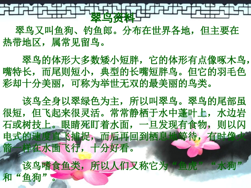 三年级上语文课件-翠鸟-北师大版_第2页