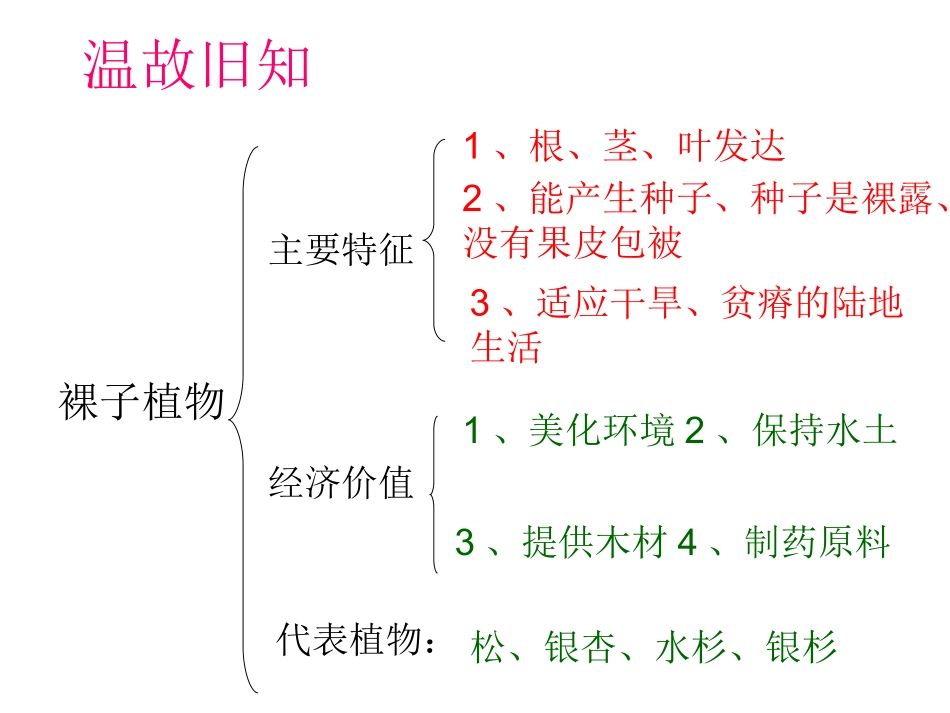 第六节被子植物_第1页