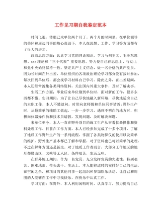 工作见习期自我鉴定范本 