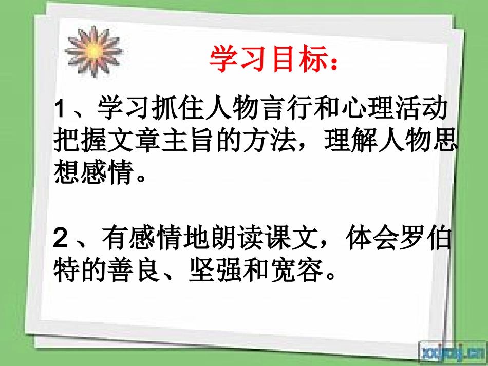 黑孩子罗伯特_第2页