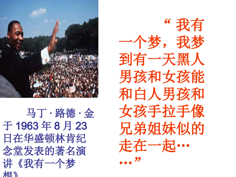 黑孩子罗伯特_第3页