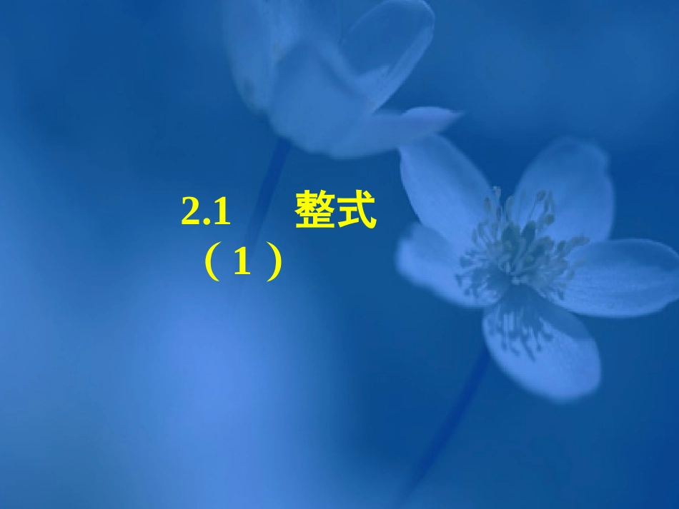 21整式（1） (2)_第3页