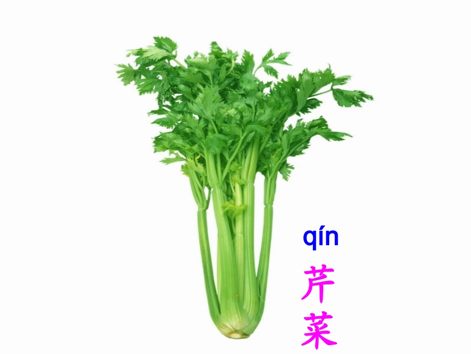 三年级语文上册-汉字家园一-1课件-长春版_第3页