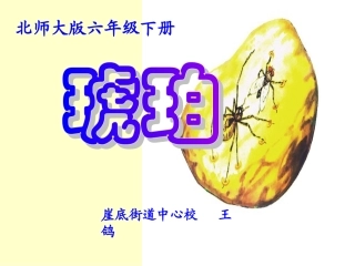 琥珀[免费课件]