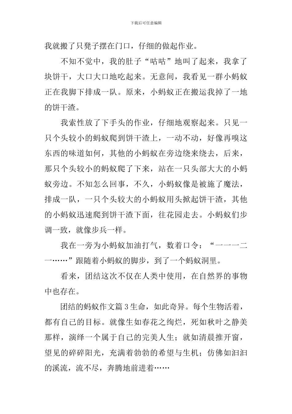 团结的蚂蚁作文5篇_第2页