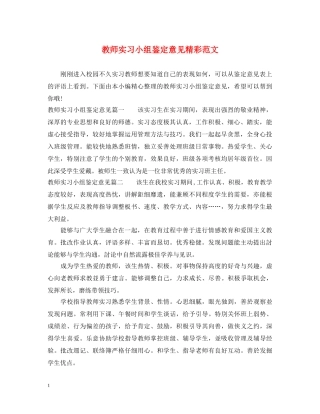 教师实习小组鉴定意见精彩范文 