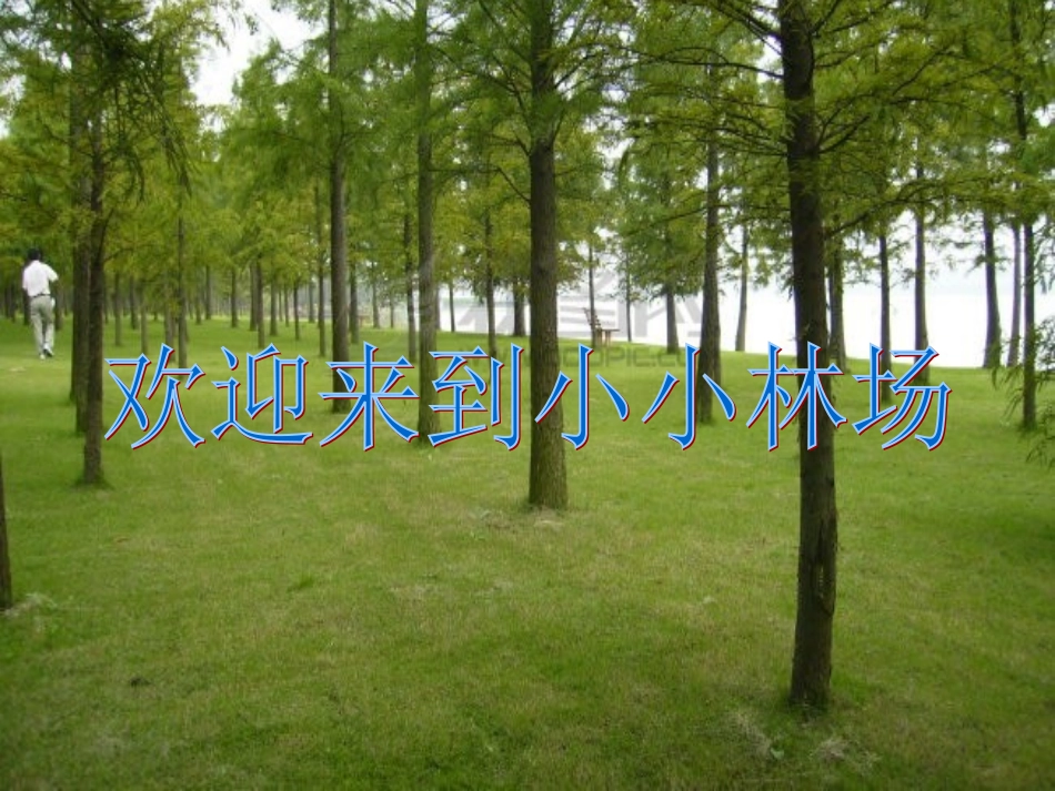 百分数的应用2课件_第3页