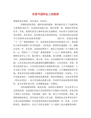 在春节团拜会上的致辞 