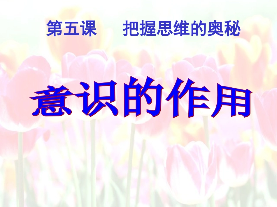 52意识的作用课件（人教版必修4）_第3页