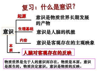 52意识的作用课件（人教版必修4）