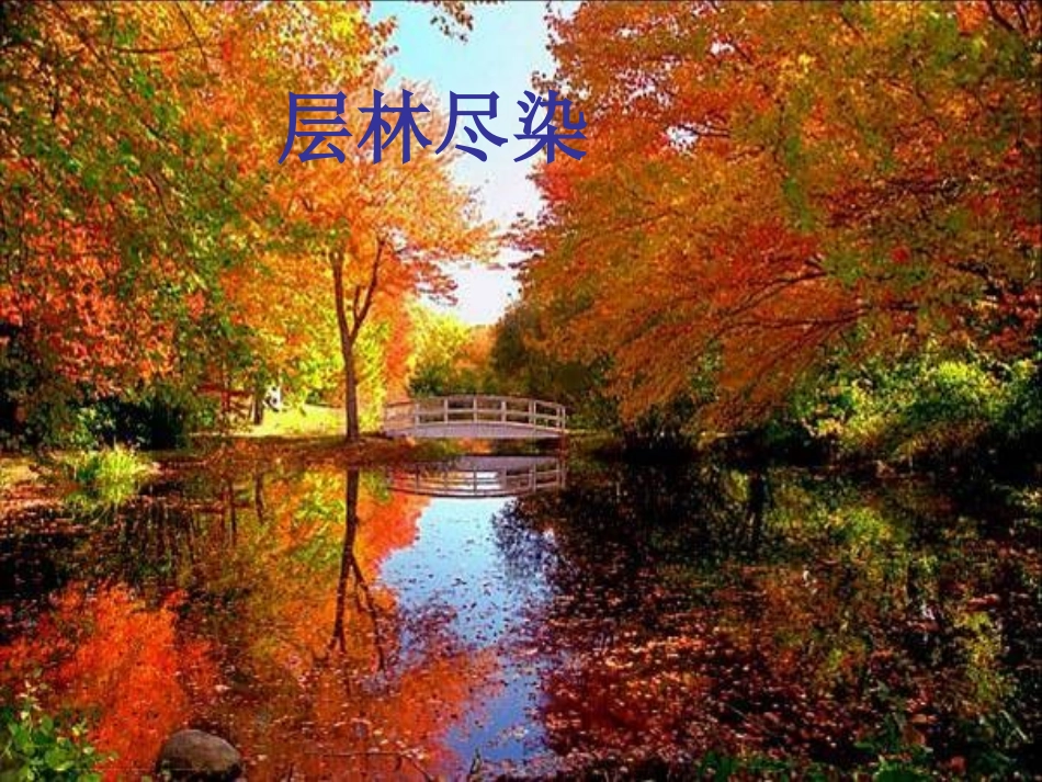 秋天的图画 (6)_第2页