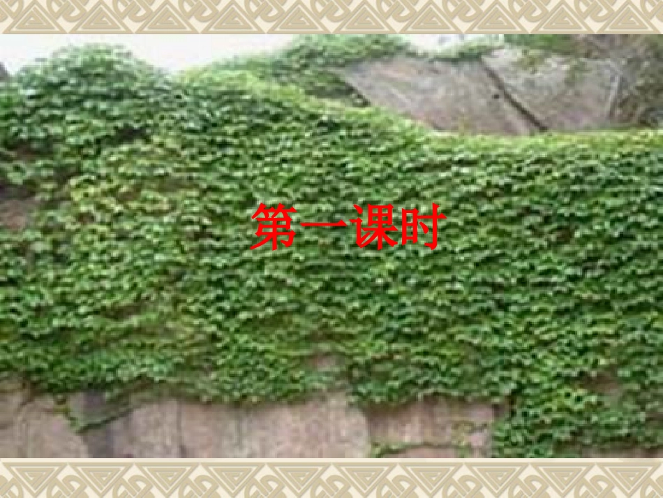 爬山虎的脚 (8)_第2页