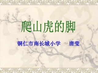 爬山虎的脚 (8)