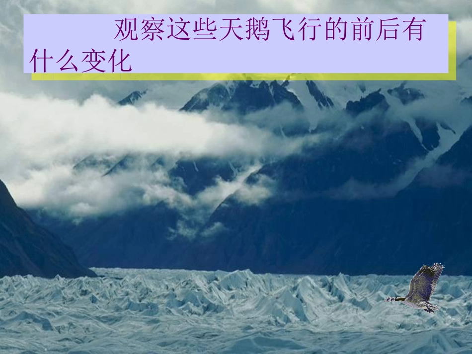 平移修改课件_第2页