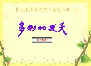 多彩的夏天第二课时