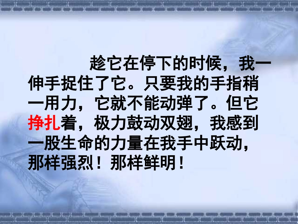 19课生命生命PPT课件_第3页