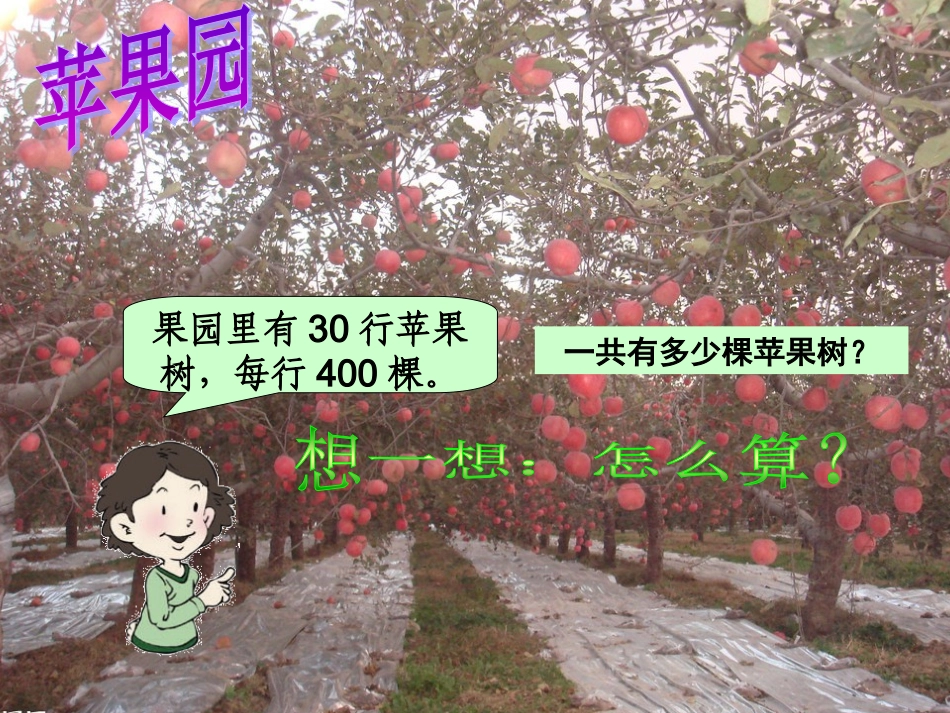 三位数乘两位数的口算乘法_第3页