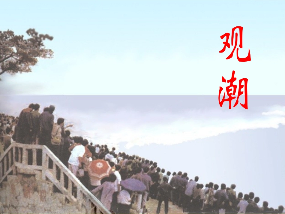 《观潮》课件_第1页