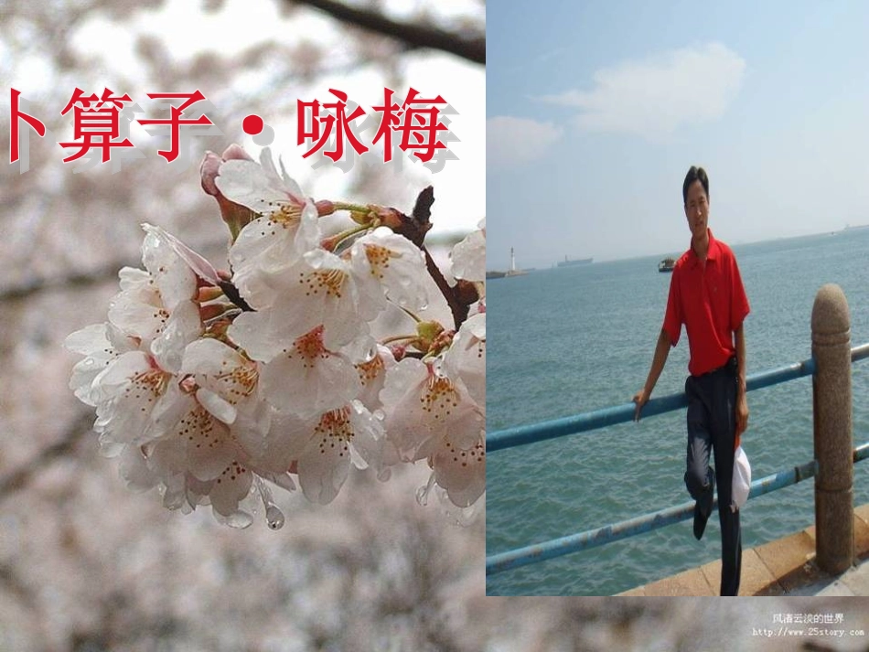 七年级语文下册《卜算子·咏梅》课件 苏教版_第1页