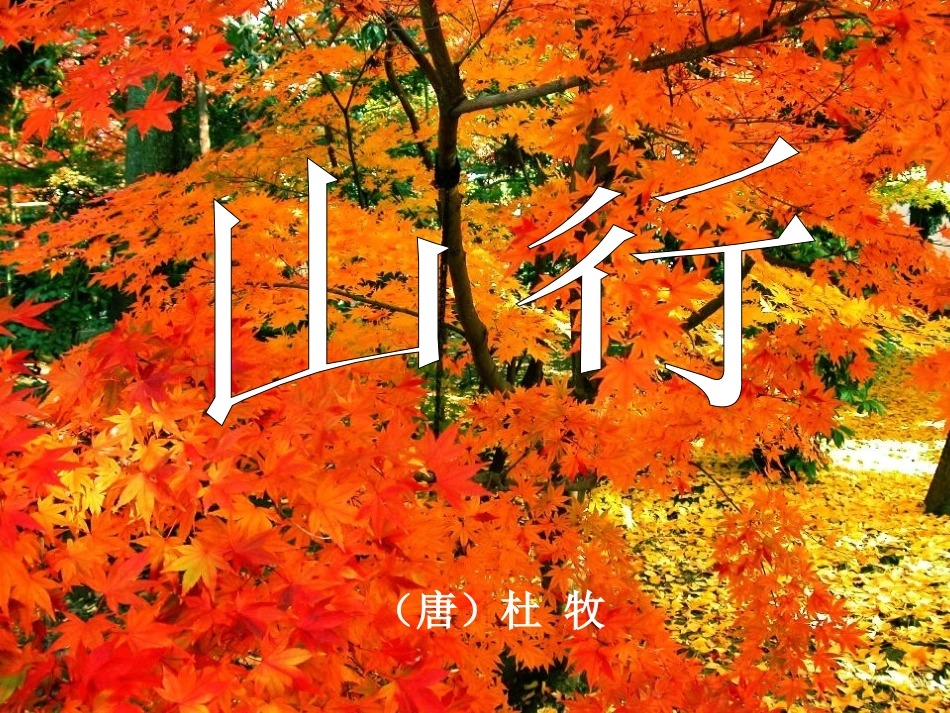 第十板块山行_第1页