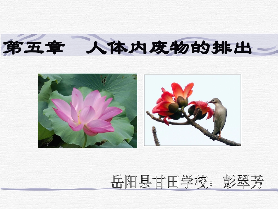 人体内废物的排出_第1页