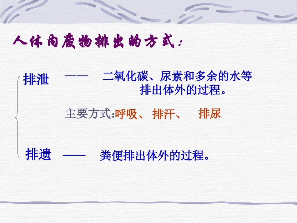 人体内废物的排出_第2页