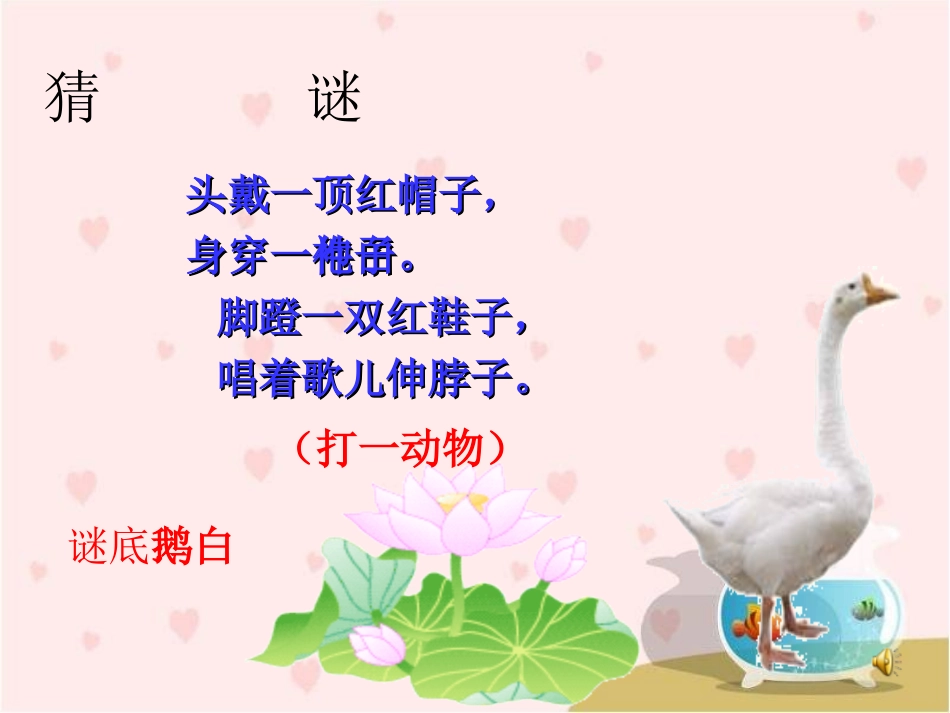 《白鹅》课件_第2页