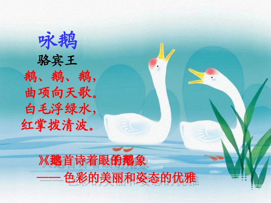 《白鹅》课件_第3页