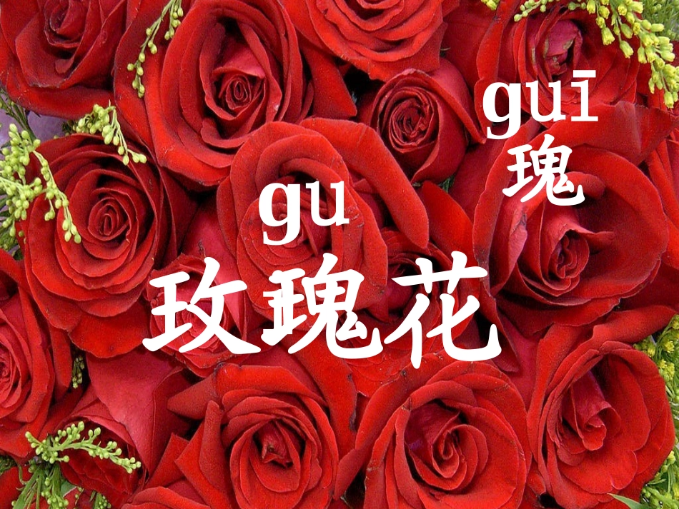 小鹿的玫瑰花_第1页