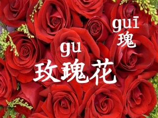 小鹿的玫瑰花