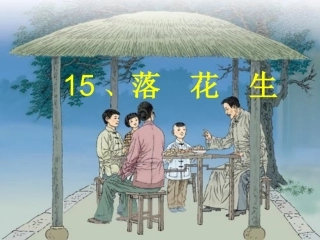 落花生1 (3)