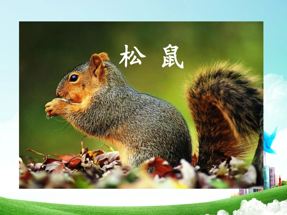 一年级-第三单元-松鼠和松果_第3页