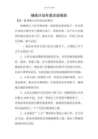 镇统计站年度总结报告