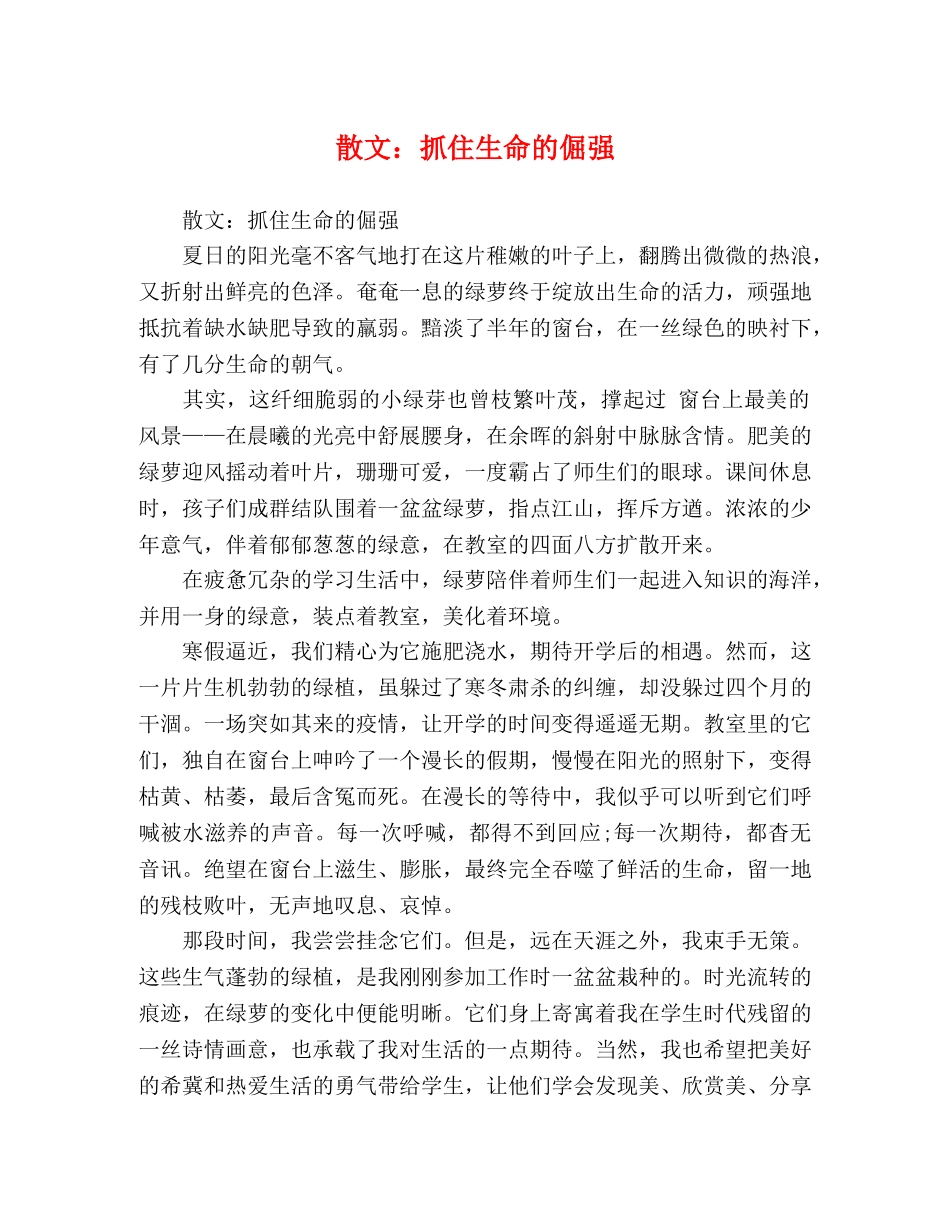 散文抓住生命的倔强 _第1页