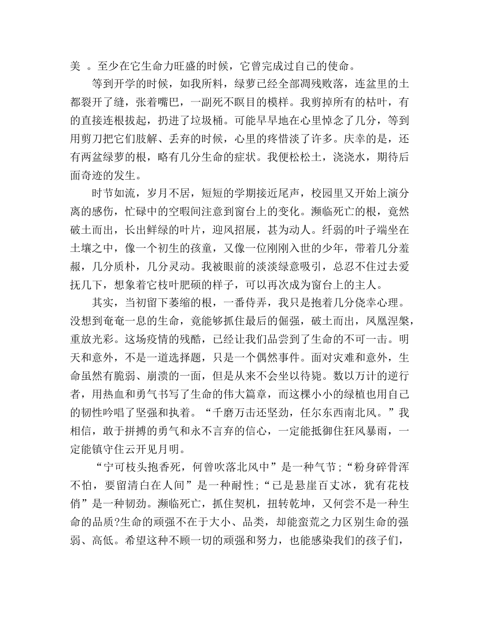 散文抓住生命的倔强 _第2页
