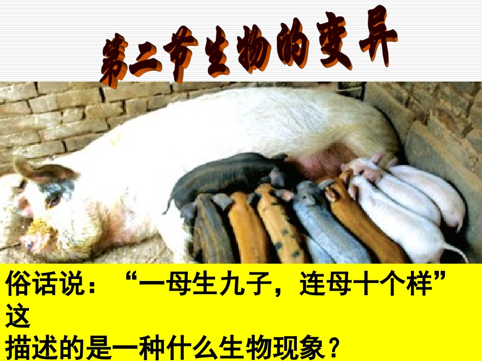 新人教版八年级下册_生物的变异_第1页