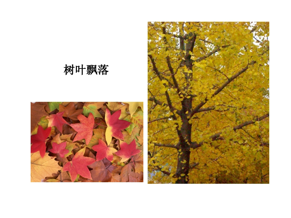 三年级上册语文——12听听秋的声音_第3页