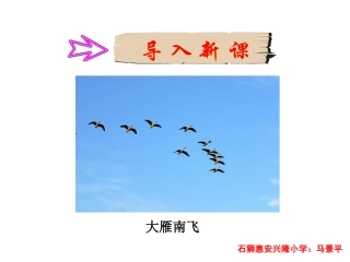 三年级上册语文——12听听秋的声音