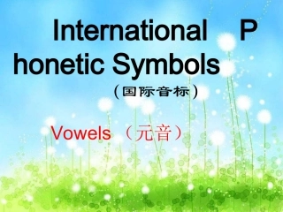 7A音标教学元音