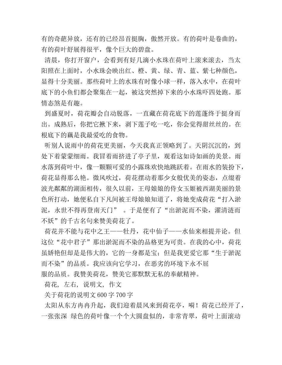 关于鲸鱼的作文 _第3页